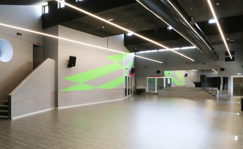 Proyecto Gimnasio Dreamfit