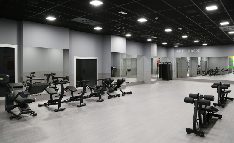 Proyecto Gimnasio Dreamfit